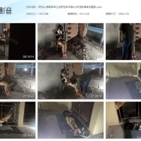 【高帮帆布鞋】欢乐谷 跟踪绑架之迷晕至废弃屋4小时深度调教完整版【1.33GB】