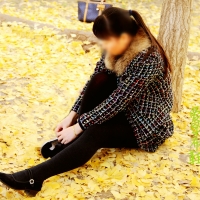 等到秋风起，秋叶落成堆。。2026--10--16【多图】